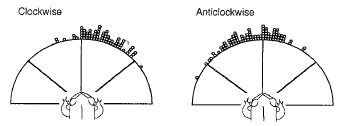 From Vallortigara et al. (1998)